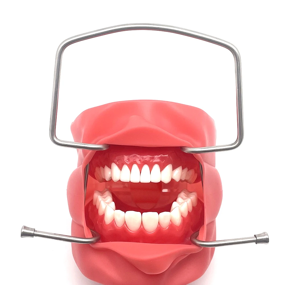 Dental Mouths Openers Lip Retractor Intraoral Cheek Stainless Steel Retractor Dental Products