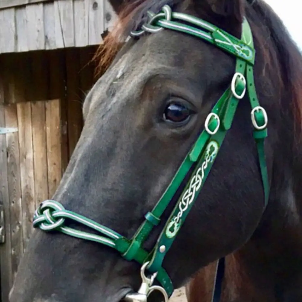 PU Leather Horses Bridle Halters Comfortable Metal Buckle Horse Rein Harness Protecting Horse Skin Durable Horse Collar