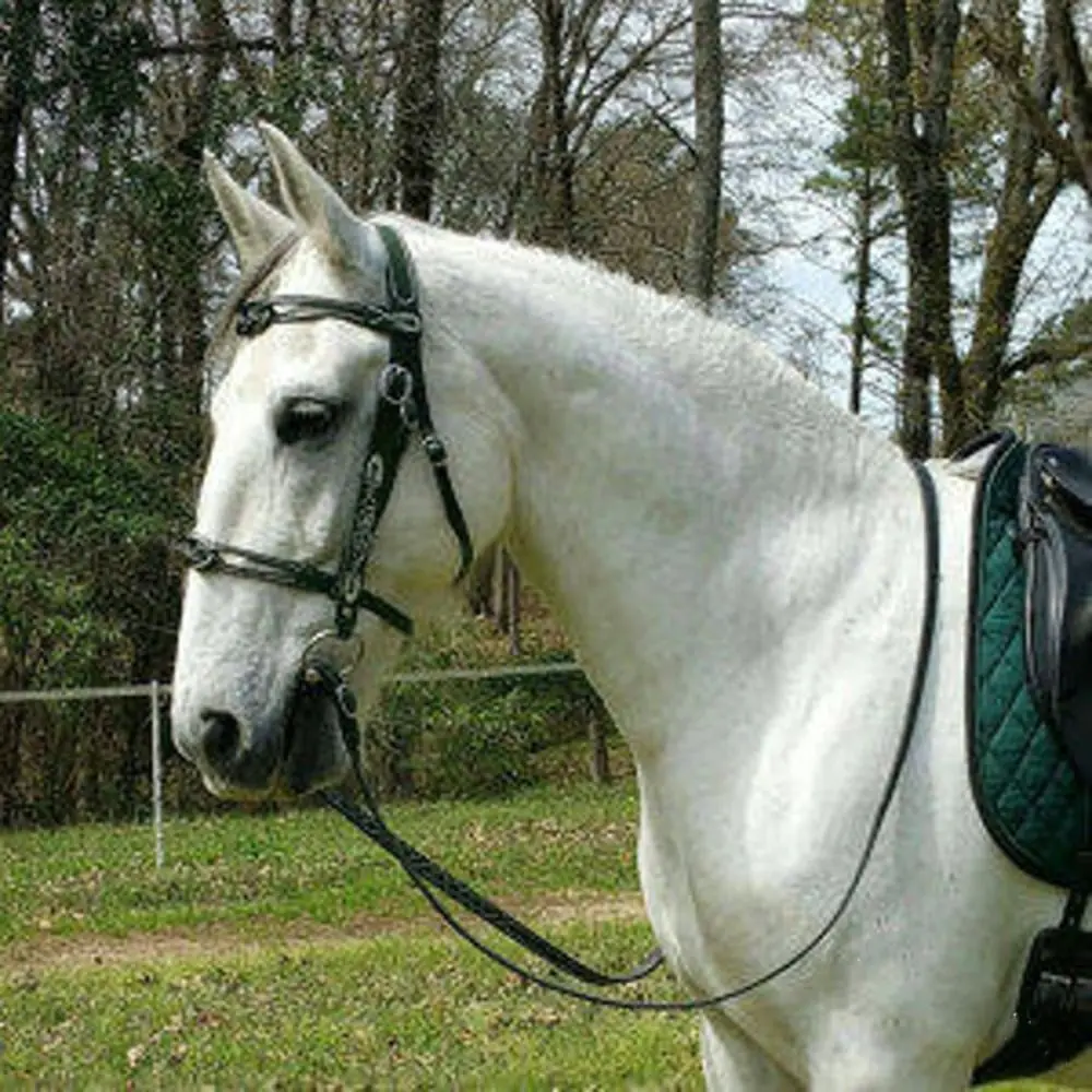 PU Leather Horses Bridle Halters Comfortable Protecting Horse Skin Horse Head Curtain Metal Buckle Adjustable Horse Rein Harness