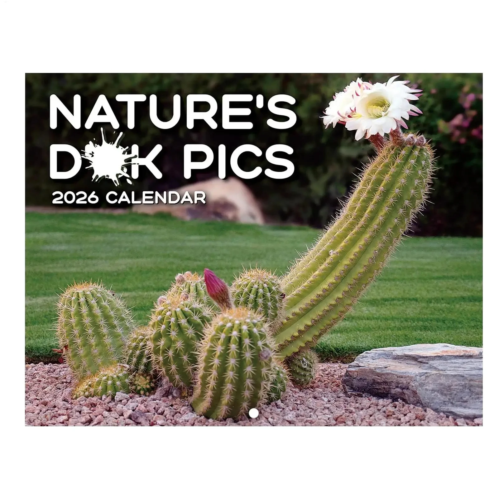 2026 Calendar 12 Months Decoration Cactus Calendar Cactus Prank Calendar With 12 Funny Cactus Illustrations Office Decor Gift