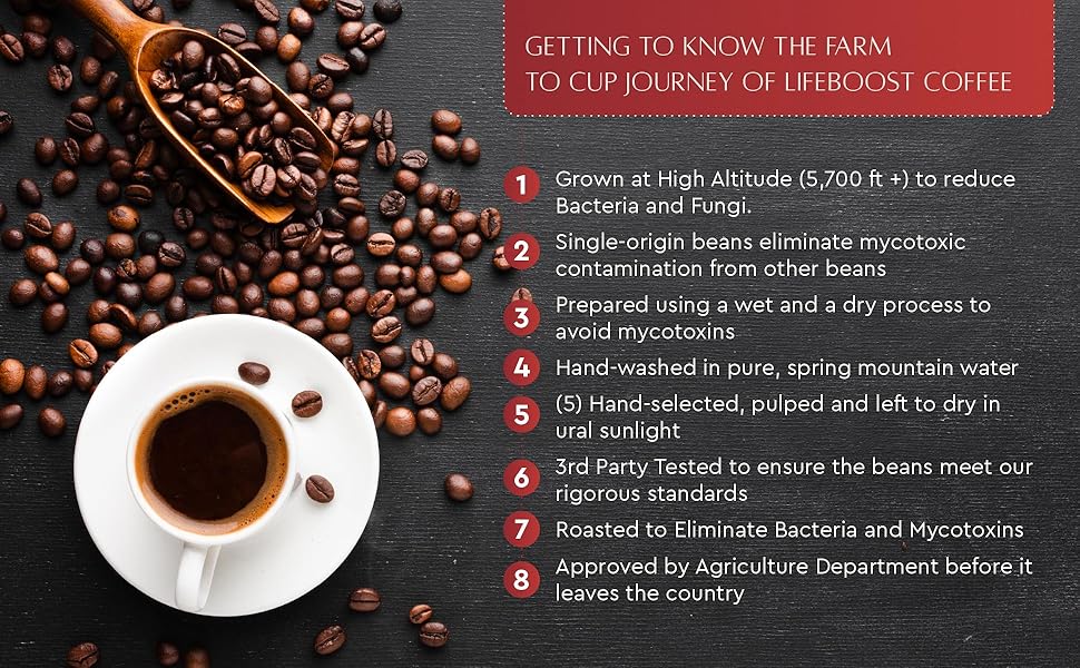 Dark Roast Whole Bean Coffee