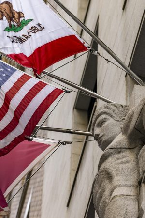 The Silent Revolution: How Peer-to-Peer Lending is Rewiring American Finance