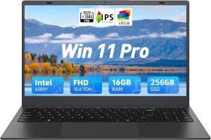 14 Inch Laptop Computer, 16GB RAM 256GB SSD, Pentium Gold 6500Y (Up to 3.4GHz), 1080P FHD IPS Display, Type-C, HDMI, USB3.2, BT5.2, WiFi 5, Win11 Laptop, Laptops for Business & Student
