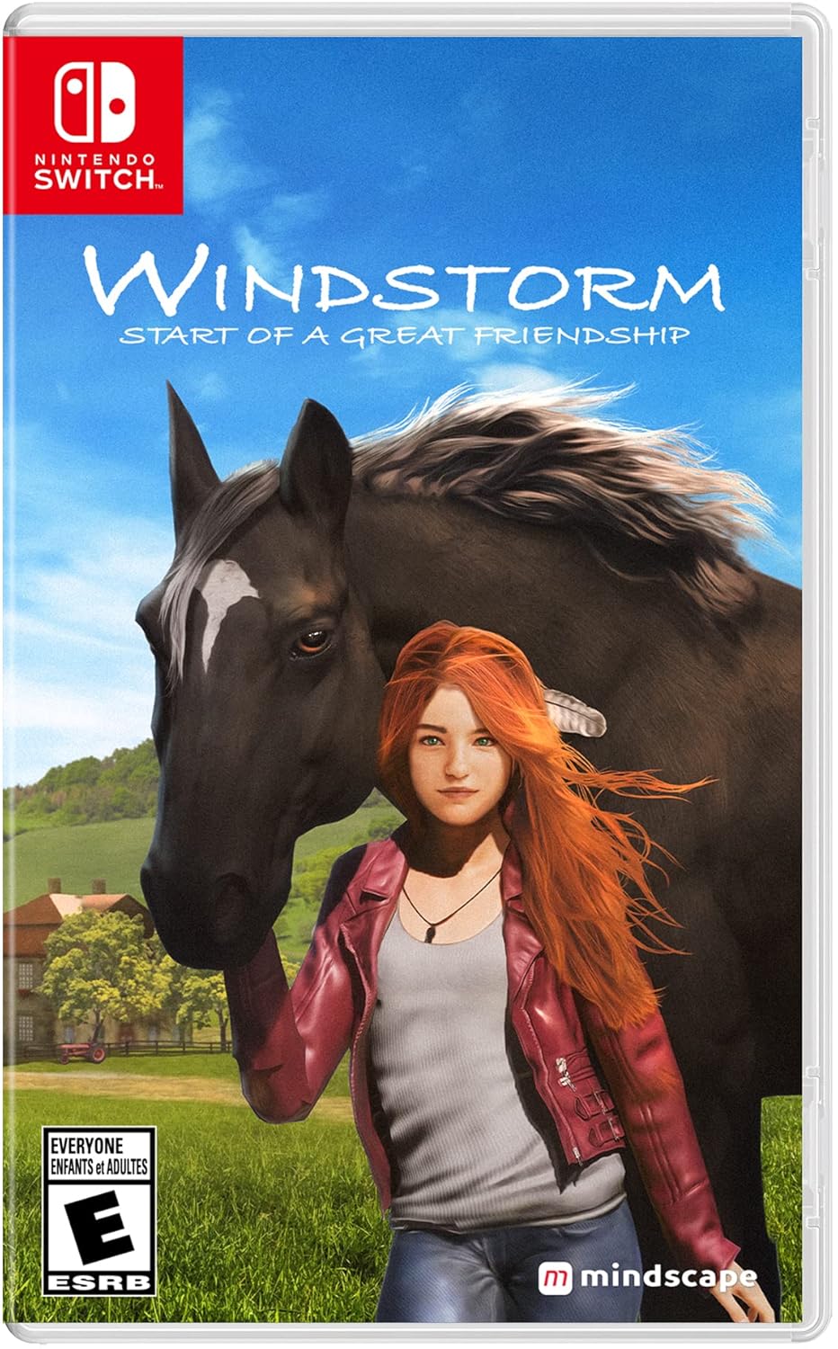 Windstorm: Start of a Great Friendship Nintendo Switch