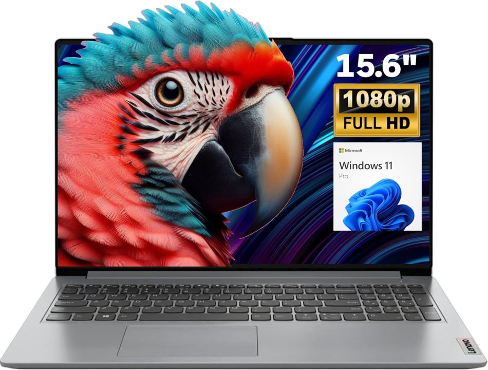 Lenovo IdeaPad 15.6″ FHD Laptop for Business and Student, 36GB RAM, 1TB SSD, Intel Dual-core Processor, WiFi6, Bluetooth 5.2, Type-C, HDMI, Cloud Grey, Windows 11 Pro, Z&O Accessories