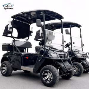 Wholesale 48V 60V 72V Electric Best New Electric 2 Seats Lithium Powered Street Legal 4000W 5000W Buggy Hunting Golf Carts