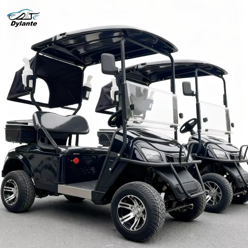 Wholesale 48V 60V 72V Electric Best New Electric 2 Seats Lithium Powered Street Legal 4000W 5000W Buggy Hunting Golf Carts