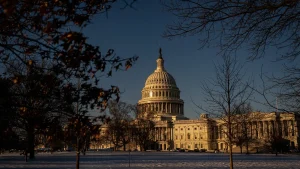 What are pro forma sessions, and why do they matter for the DHS shutdown