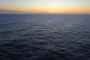 Giant squid detected in deep-sea canyon off coast of Australia