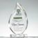 Crystal Leaf-Shaped Trophy Award Personalized Free Customization Best Sellers Crystal Honor Award Business Gift