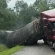 Millions of bees get loose after truck carrying 400 hives crashes in Texas: “Please remain indoors” Millions of bees get loose after truck carrying 400 hives crashes in Texas: “Please remain indoors”