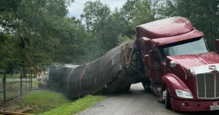 Millions of bees get loose after truck carrying 400 hives crashes in Texas: “Please remain indoors” Millions of bees get loose after truck carrying 400 hives crashes in Texas: “Please remain indoors”