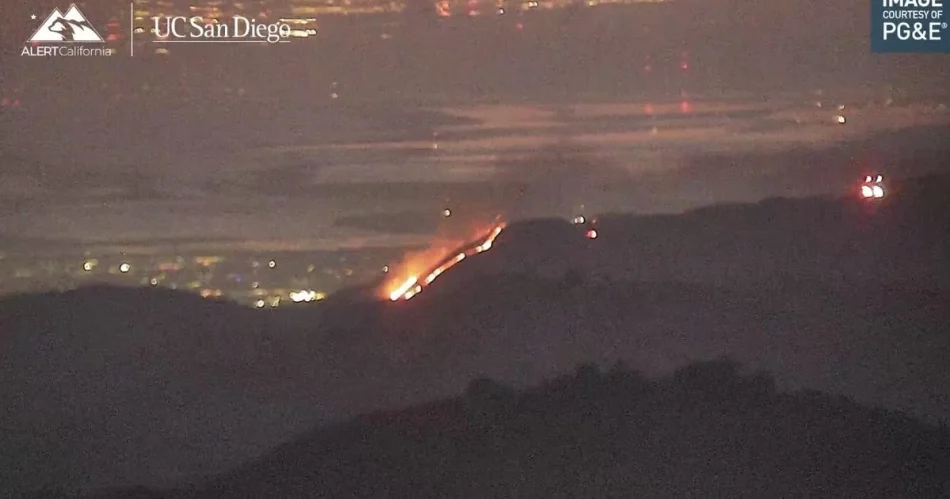 San Jose firefighters battling vegetation fire in east foothills