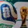 Why Is There No World Cup Games Today? Explaining the Break in the Schedule
