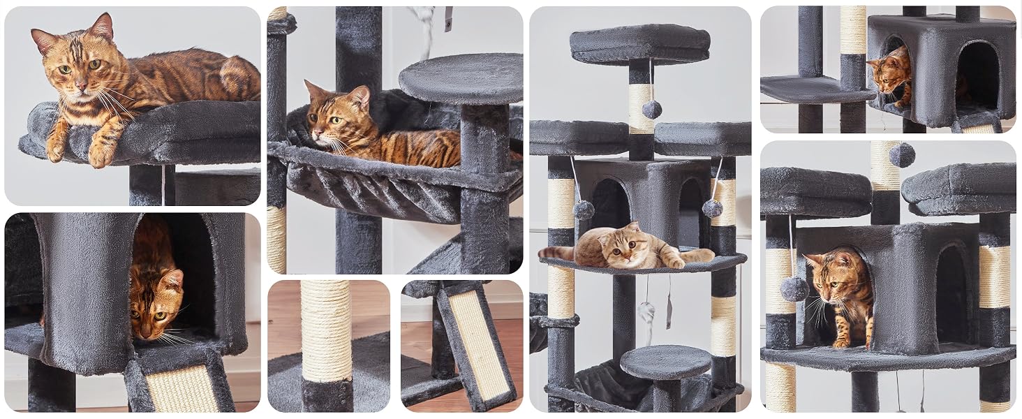 cat tree
