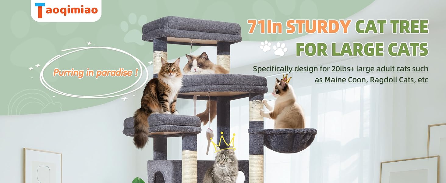 MS034G 71In Sturdy Cat Tree
