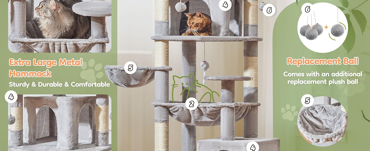 cat candos