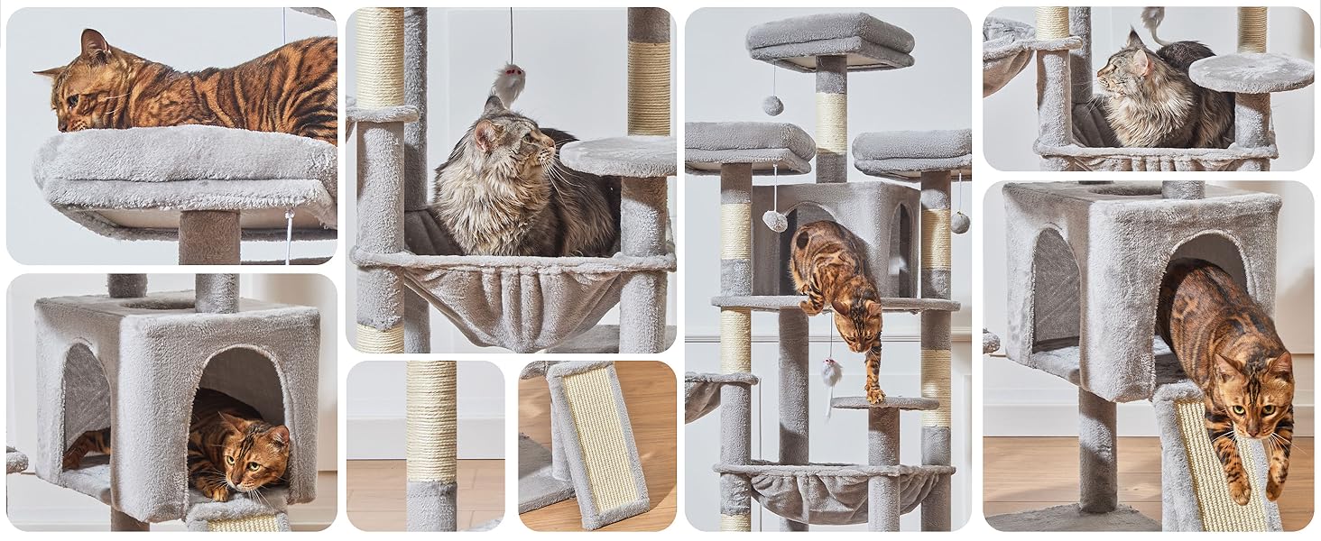 cat tree
