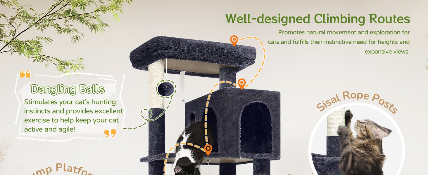cat playground