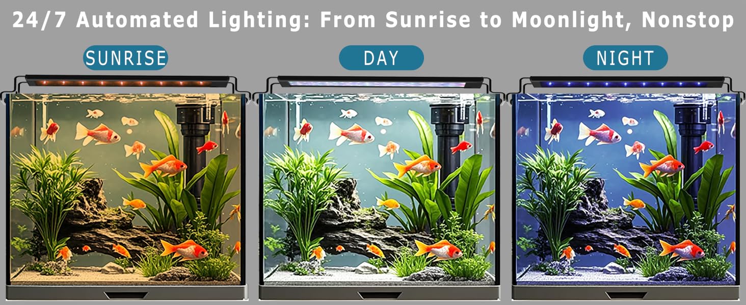small aquarium light