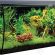 Fluval Flex 32.5 Aquarium Kit – Fish Tank for Fish & Plants – Comes with LED Lights, Filtration System & More – 32.5″ x 15.75″ x 15.35″ – 123 L, 32.5 Gal. – Black