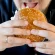 Burger King’s ‘Whopper Guarantee’ promises free burger if order is wrong Burger King’s ‘Whopper Guarantee’ promises free burger if order is wrong